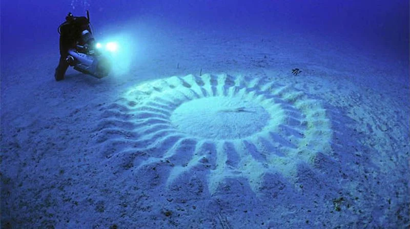 pufferfish masterpiece