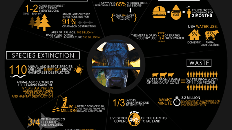 cowspiracy infographic metric