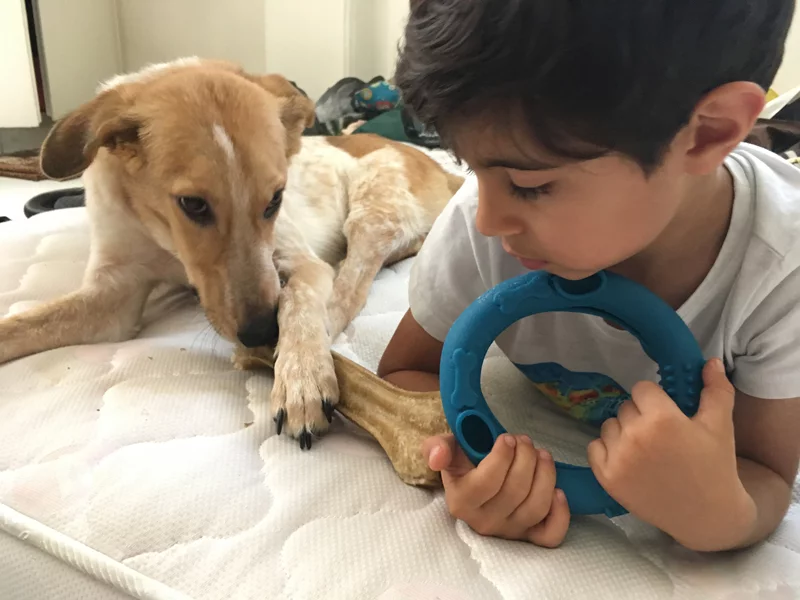 Laika16