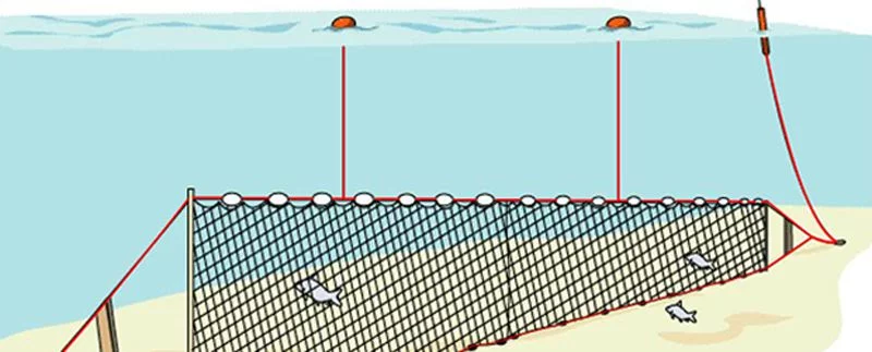 gill nets