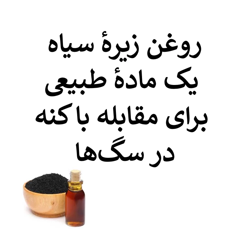 cumin