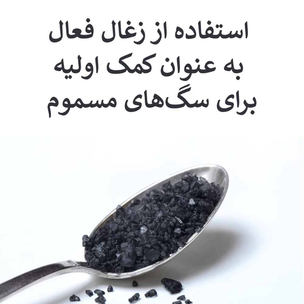 charcoal
