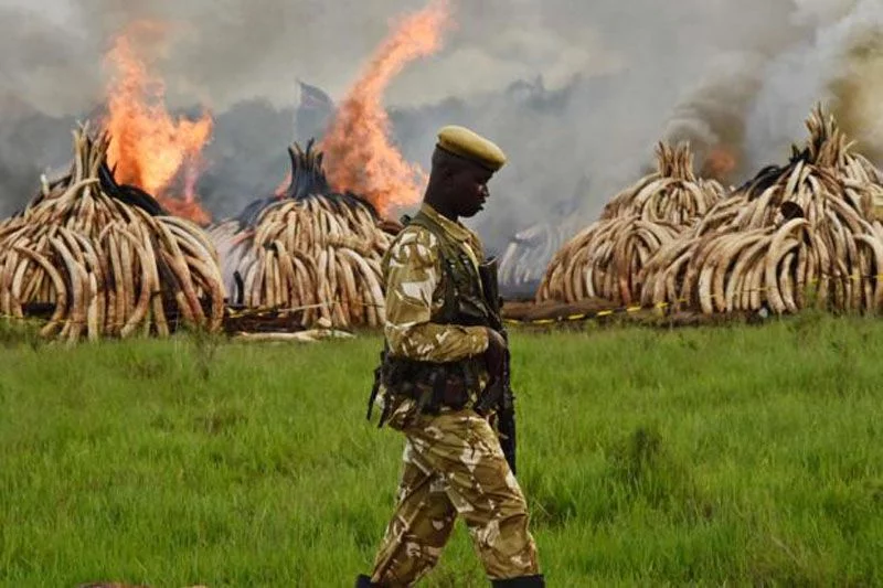 kenya