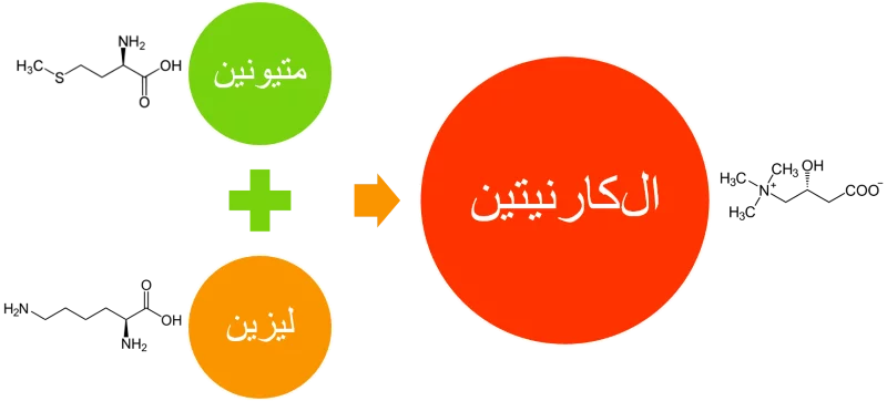 aminoacid process