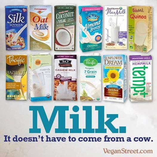 plant milk